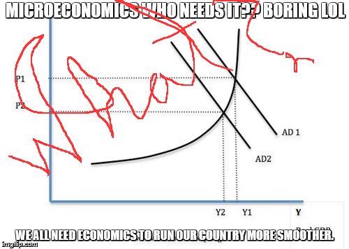 MICROECONOMICS WHO NEEDS IT?? BORING LOL; WE ALL NEED ECONOMICS TO RUN OUR COUNTRY MORE SMOOTHER. | image tagged in valerie's memes | made w/ Imgflip meme maker