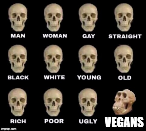idiot skull | VEGANS | image tagged in idiot skull,funny,memes,ssby,vegan | made w/ Imgflip meme maker