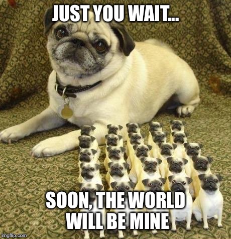 Just you wait... | JUST YOU WAIT... SOON, THE WORLD WILL BE MINE | image tagged in memes,funny | made w/ Imgflip meme maker