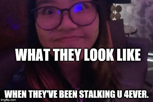 WHAT THEY LOOK LIKE; WHEN THEY'VE BEEN STALKING U 4EVER. | image tagged in i have no words | made w/ Imgflip meme maker