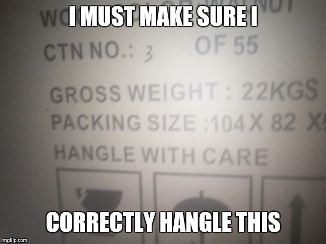 I MUST MAKE SURE I; CORRECTLY HANGLE THIS | image tagged in hangle with care | made w/ Imgflip meme maker