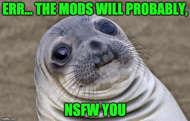 Awkward Moment Sealion Meme | ERR... THE MODS WILL PROBABLY, NSFW YOU | image tagged in memes,awkward moment sealion | made w/ Imgflip meme maker