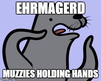 I don't agree with the joke on a serious level. they do that, it's friendly to them. | EHRMAGERD; MUZZIES HOLDING HANDS | image tagged in memes,homophobic seal,muslims,homophobic | made w/ Imgflip meme maker