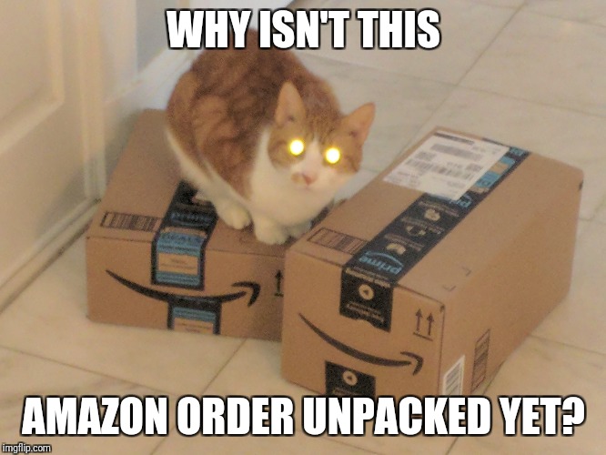 WHY ISN'T THIS AMAZON ORDER UNPACKED YET? | made w/ Imgflip meme maker