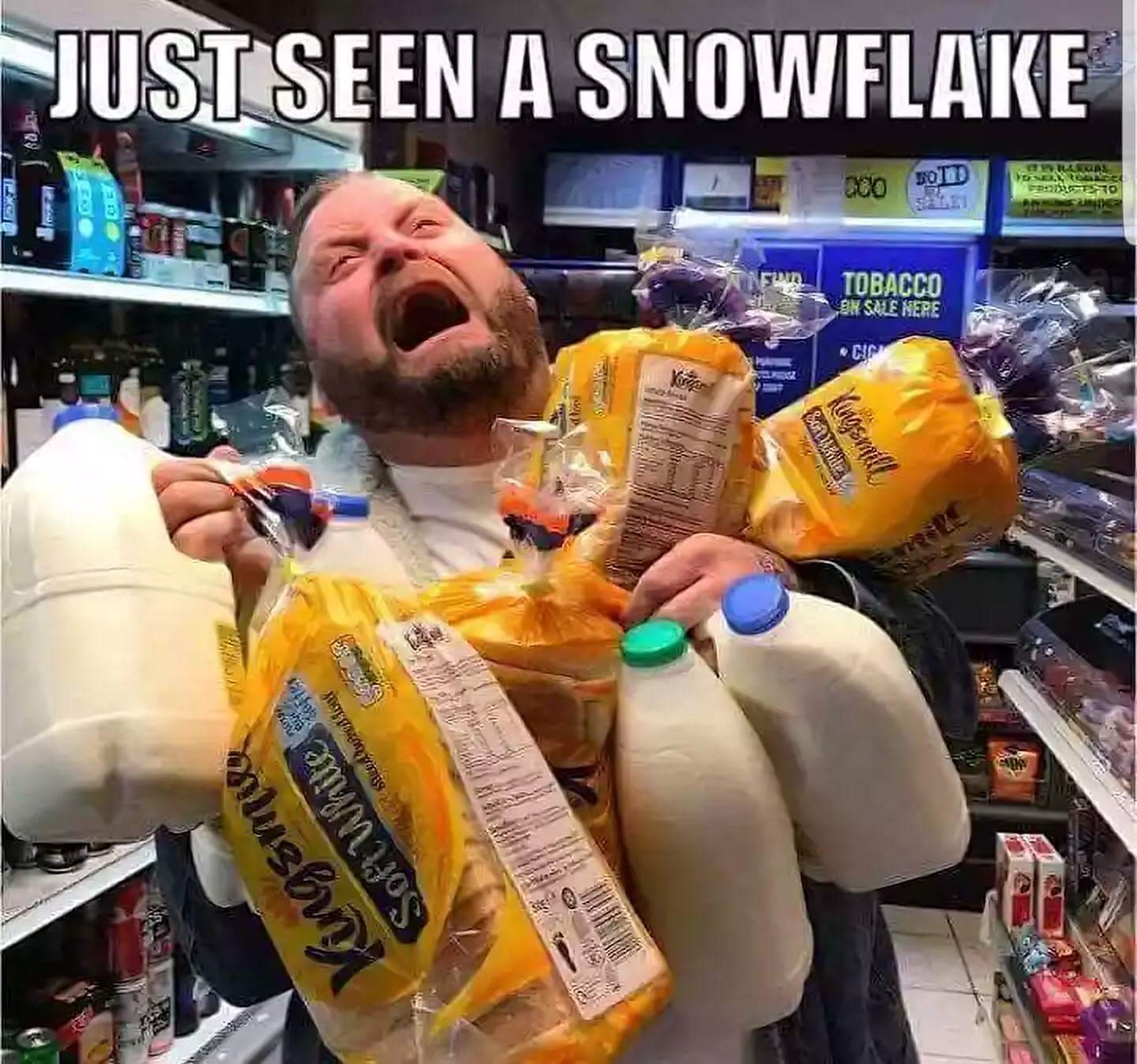 Snowflake Blank Meme Template