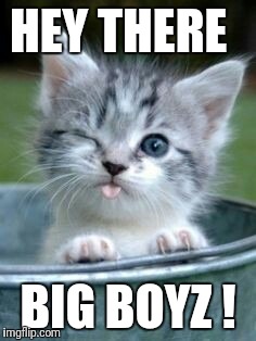 Sweet Baby Kitten  | HEY THERE; BIG BOYZ ! | image tagged in sweet baby kitten | made w/ Imgflip meme maker