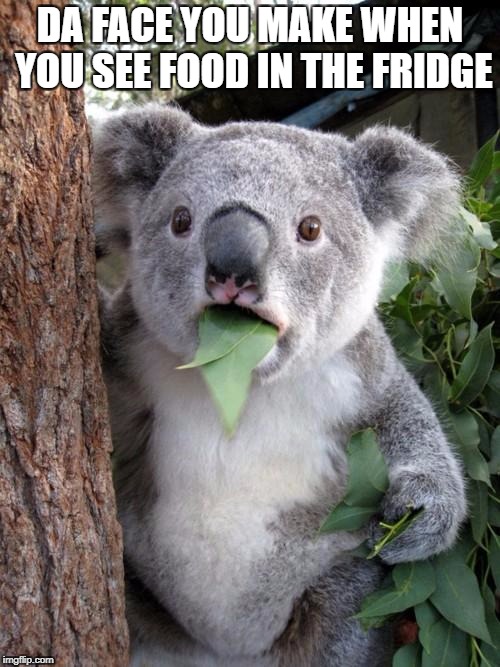 Surprised Koala Meme | DA FACE YOU MAKE WHEN YOU SEE FOOD IN THE FRIDGE | image tagged in memes,surprised koala | made w/ Imgflip meme maker