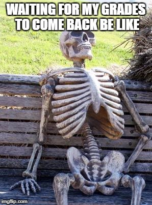 Waiting Skeleton | WAITING FOR MY GRADES TO COME BACK BE LIKE | image tagged in memes,waiting skeleton | made w/ Imgflip meme maker