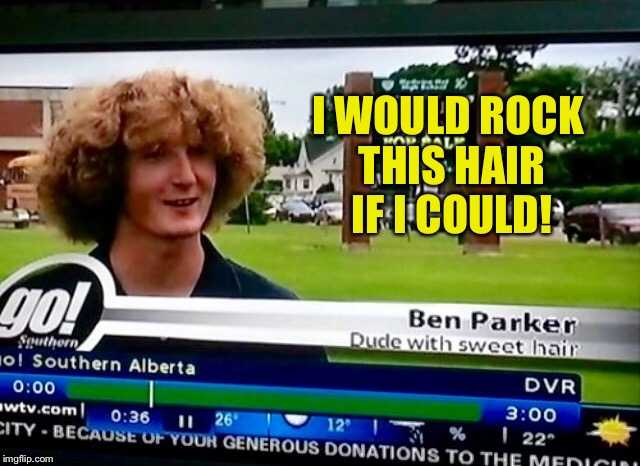 We now go live to Ben Parker and his hair... | I WOULD ROCK THIS HAIR IF I COULD! | image tagged in news,interview,big hair,sweet,hair,canadian | made w/ Imgflip meme maker