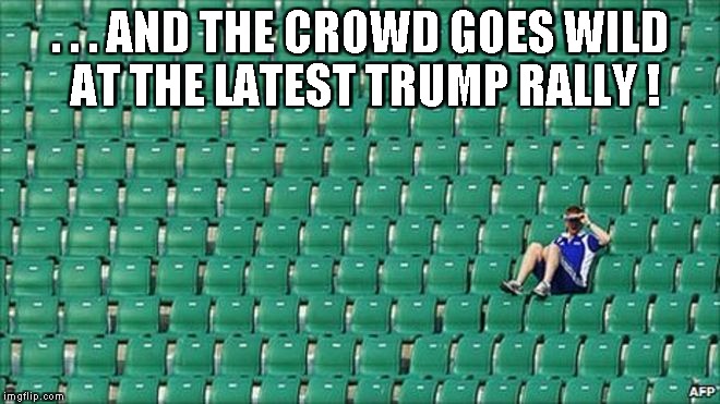 . . . AND THE CROWD GOES WILD AT THE LATEST TRUMP RALLY ! | image tagged in trump | made w/ Imgflip meme maker