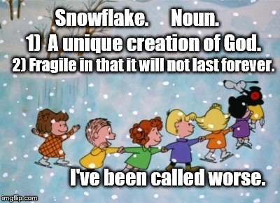 Merry Christmas | Snowflake.      Noun. 1)  A unique creation of God. 2) Fragile in that it will not last forever. I've been called worse. | image tagged in christmas,merry christmas,snowflake | made w/ Imgflip meme maker