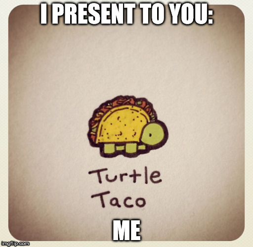 Taco Turtle | I PRESENT TO YOU:; ME | image tagged in turtle | made w/ Imgflip meme maker