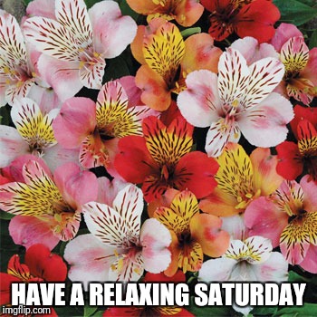 HAVE A RELAXING SATURDAY | made w/ Imgflip meme maker