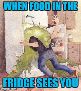 WHEN FOOD IN THE FRIDGE SEES YOU | made w/ Imgflip meme maker