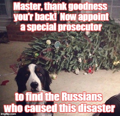 Master, thank goodness you'r back!  Now appoint a special prosecutor; to find the Russians who caused this disaster | image tagged in trump russia collusion | made w/ Imgflip meme maker