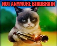 NOT ANYMORE BIRDBRAIN | made w/ Imgflip meme maker