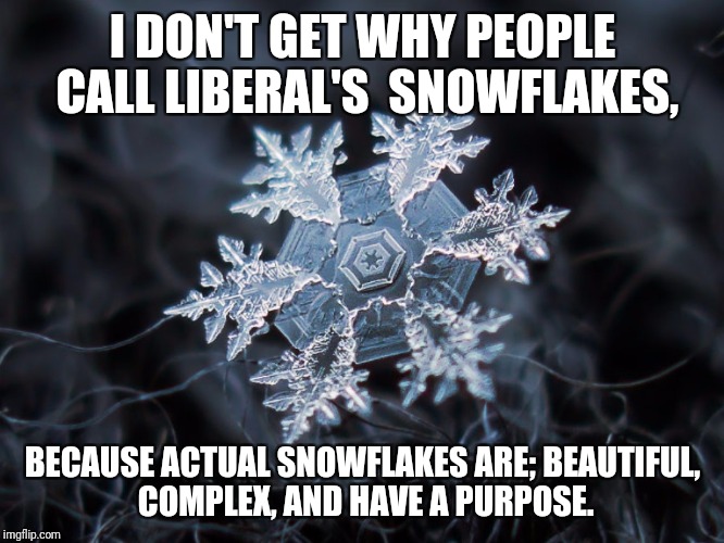 Don't be mad it's only meme | I DON'T GET WHY PEOPLE CALL LIBERAL'S  SNOWFLAKES, BECAUSE ACTUAL SNOWFLAKES ARE; BEAUTIFUL, COMPLEX, AND HAVE A PURPOSE. | image tagged in snow,political,memes | made w/ Imgflip meme maker
