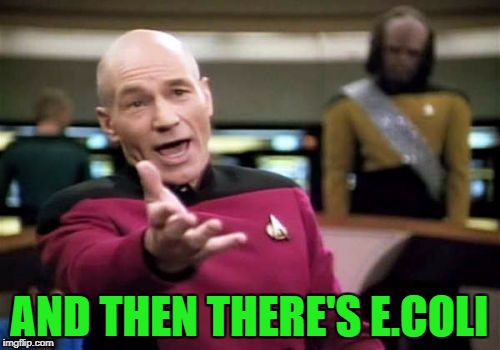 Picard Wtf Meme | AND THEN THERE'S E.COLI | image tagged in memes,picard wtf | made w/ Imgflip meme maker