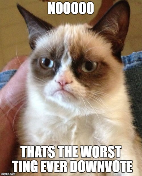 Grumpy Cat Meme | NOOOOO; THATS THE WORST TING EVER DOWNVOTE | image tagged in memes,grumpy cat | made w/ Imgflip meme maker