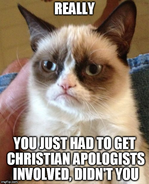 Grumpy Cat Meme | REALLY; YOU JUST HAD TO GET CHRISTIAN APOLOGISTS INVOLVED, DIDN'T YOU | image tagged in memes,grumpy cat,christian apologist,christian apologists,bigot,bigots | made w/ Imgflip meme maker