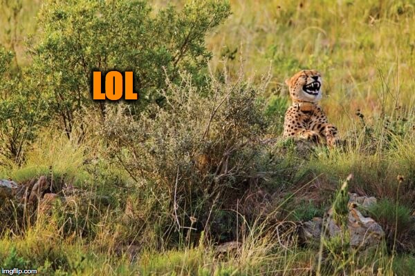 LOL | made w/ Imgflip meme maker