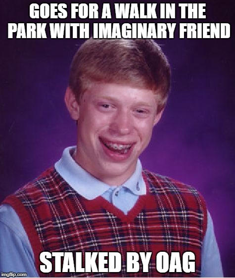 Bad Luck Brian Meme | GOES FOR A WALK IN THE PARK WITH IMAGINARY FRIEND STALKED BY OAG | image tagged in memes,bad luck brian | made w/ Imgflip meme maker
