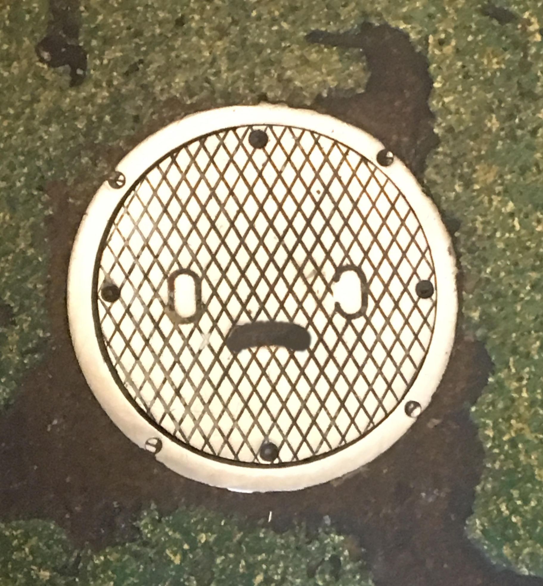 manhole cover sad Blank Meme Template