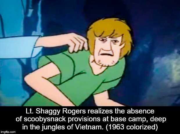 ... | Lt. Shaggy Rogers realizes the absence of scoobysnack provisions at base camp, deep in the jungles of Vietnam. (1963 colorized) | image tagged in shaggy,vietnam,colorized | made w/ Imgflip meme maker