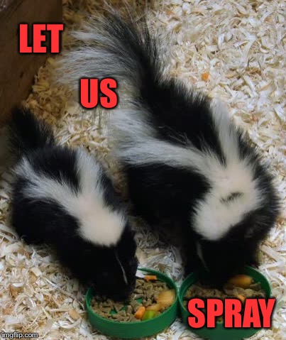 Aroma Therapy | LET; US; SPRAY | image tagged in let us spray,skunk,funny food,wildlife,funny animal meme | made w/ Imgflip meme maker