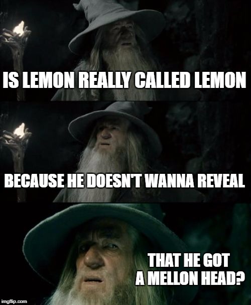 Confused Gandalf Meme | IS LEMON REALLY CALLED LEMON; BECAUSE HE DOESN'T WANNA REVEAL; THAT HE GOT A MELLON HEAD? | image tagged in memes,confused gandalf | made w/ Imgflip meme maker