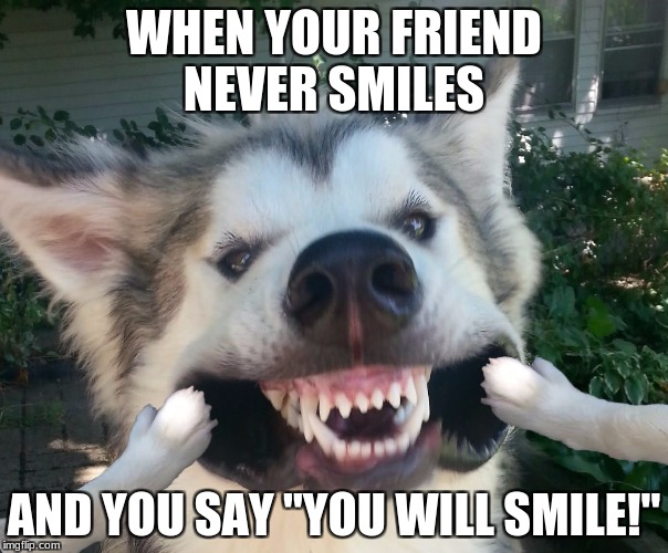 When Your Friend | WHEN YOUR FRIEND NEVER SMILES; AND YOU SAY "YOU WILL SMILE!" | made w/ Imgflip meme maker