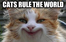 CATS RULE THE WORLD | made w/ Imgflip meme maker