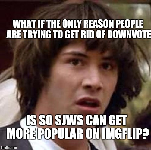 This is not true....  right? | WHAT IF THE ONLY REASON PEOPLE ARE TRYING TO GET RID OF DOWNVOTE; IS SO SJWS CAN GET MORE POPULAR ON IMGFLIP? | image tagged in memes,conspiracy keanu,funny,awful,ridiculous,sad | made w/ Imgflip meme maker