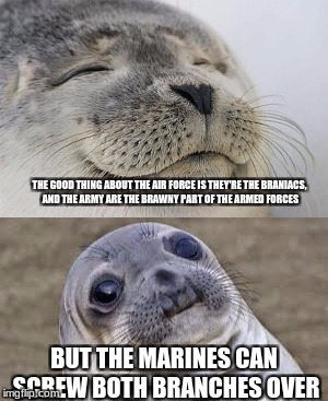 If you mess with a marine, you're almost definitely screwed. | THE GOOD THING ABOUT THE AIR FORCE IS THEY'RE THE BRANIACS, AND THE ARMY ARE THE BRAWNY PART OF THE ARMED FORCES; BUT THE MARINES CAN SCREW BOTH BRANCHES OVER | image tagged in memes,military,air force,marines,army | made w/ Imgflip meme maker