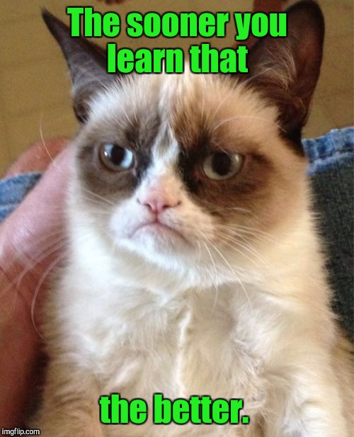 Grumpy Cat Meme | The sooner you learn that the better. | image tagged in memes,grumpy cat | made w/ Imgflip meme maker