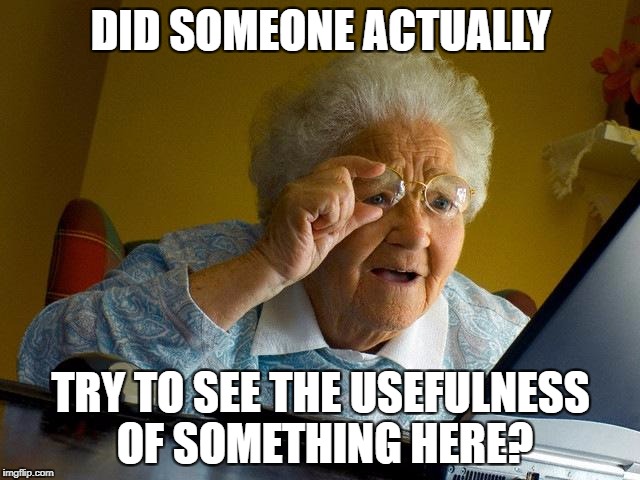 Grandma Finds The Internet Meme | DID SOMEONE ACTUALLY; TRY TO SEE THE USEFULNESS OF SOMETHING HERE? | image tagged in memes,grandma finds the internet | made w/ Imgflip meme maker