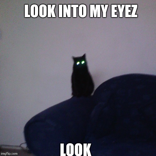 Black cat  | LOOK INTO MY EYEZ; LOOK | image tagged in black cat | made w/ Imgflip meme maker