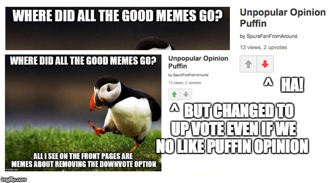 ^   HA! ^  BUT CHANGED TO UP VOTE EVEN IF WE NO LIKE PUFFIN OPINION | made w/ Imgflip meme maker