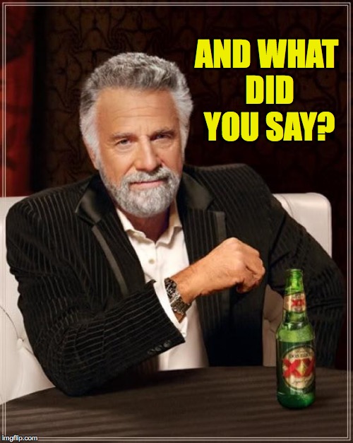 The Most Interesting Man In The World Meme | AND WHAT DID YOU SAY? | image tagged in memes,the most interesting man in the world | made w/ Imgflip meme maker