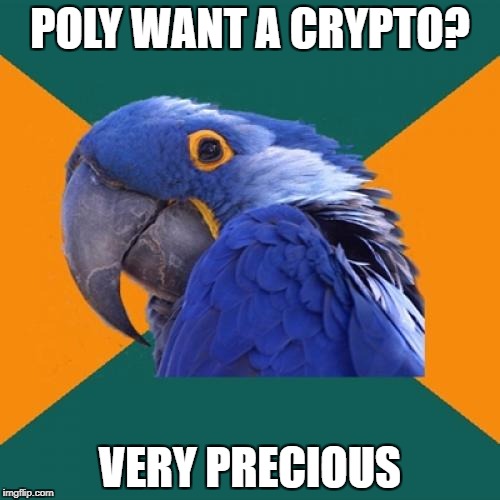 Paranoid Parrot Meme | POLY WANT A CRYPTO? VERY PRECIOUS | image tagged in memes,paranoid parrot | made w/ Imgflip meme maker