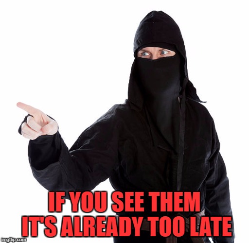 IF YOU SEE THEM IT'S ALREADY TOO LATE | made w/ Imgflip meme maker