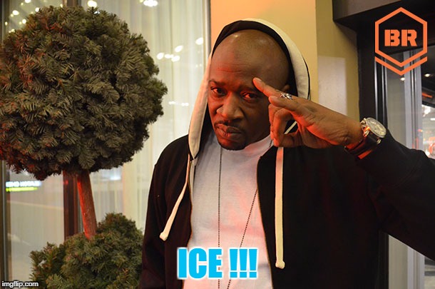 Head Ice Salute | ICE !!! | image tagged in bars,rap,thug life,salute,gangsta | made w/ Imgflip meme maker
