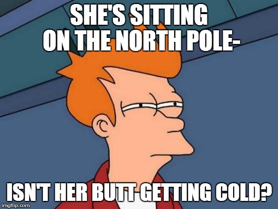 Futurama Fry Meme | SHE'S SITTING ON THE NORTH POLE- ISN'T HER BUTT GETTING COLD? | image tagged in memes,futurama fry | made w/ Imgflip meme maker