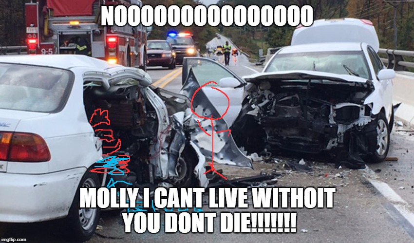 Mollys death | NOOOOOOOOOOOOOOO; MOLLY I CANT LIVE WITHOIT YOU DONT DIE!!!!!!! | image tagged in death | made w/ Imgflip meme maker