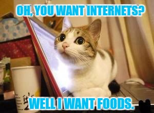 And waters too. | OH, YOU WANT INTERNETS? WELL I WANT FOODS. | image tagged in kitty cat,hungry cats,funny,people,news,new meme | made w/ Imgflip meme maker