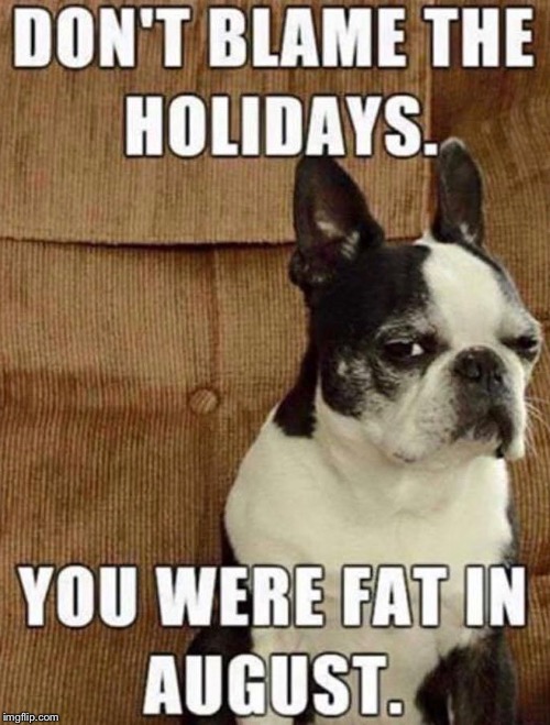 DON’T BLAME THE HOLIDAYS. YOU WERE FAT IN AUGUST. | image tagged in memes,raycat christmas | made w/ Imgflip meme maker