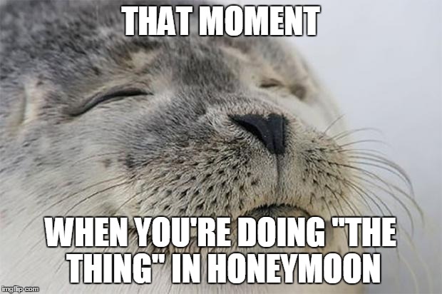 Satisfied Seal | THAT MOMENT; WHEN YOU'RE DOING "THE THING" IN HONEYMOON | image tagged in memes,satisfied seal | made w/ Imgflip meme maker