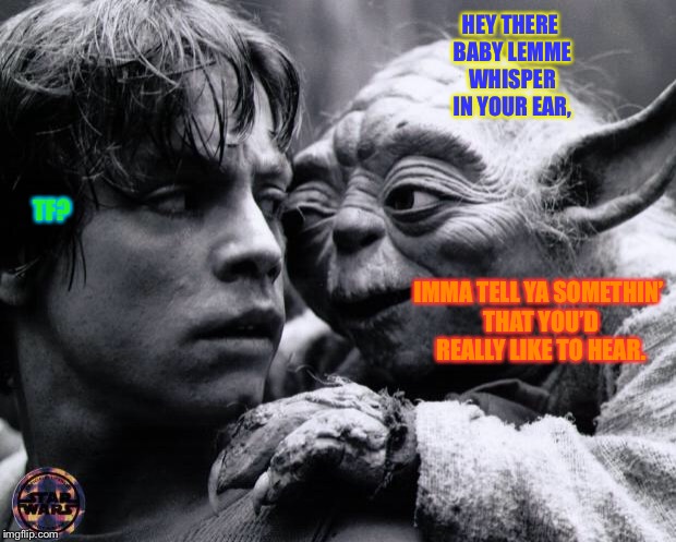 the ambiguously gay yoda | HEY THERE BABY LEMME WHISPER IN YOUR EAR, TF? IMMA TELL YA SOMETHIN’ THAT YOU’D REALLY LIKE TO HEAR. | image tagged in yoda  luke | made w/ Imgflip meme maker