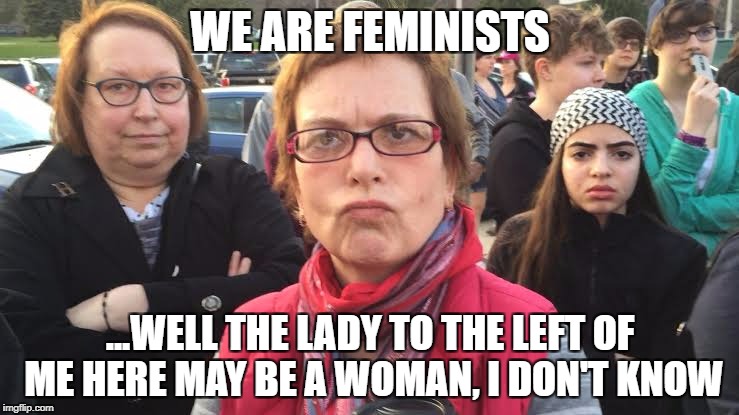 TRIGGERED FEMINIST | WE ARE FEMINISTS; ...WELL THE LADY TO THE LEFT OF ME HERE MAY BE A WOMAN, I DON'T KNOW | image tagged in triggered feminist,libtards,transgender,liberals,funny meme | made w/ Imgflip meme maker