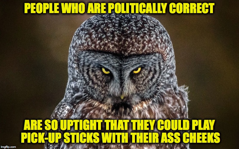The Definition of Politically Correct | PEOPLE WHO ARE POLITICALLY CORRECT; ARE SO UPTIGHT THAT THEY COULD PLAY PICK-UP STICKS WITH THEIR ASS CHEEKS | image tagged in uptight -- chillout,ffs | made w/ Imgflip meme maker